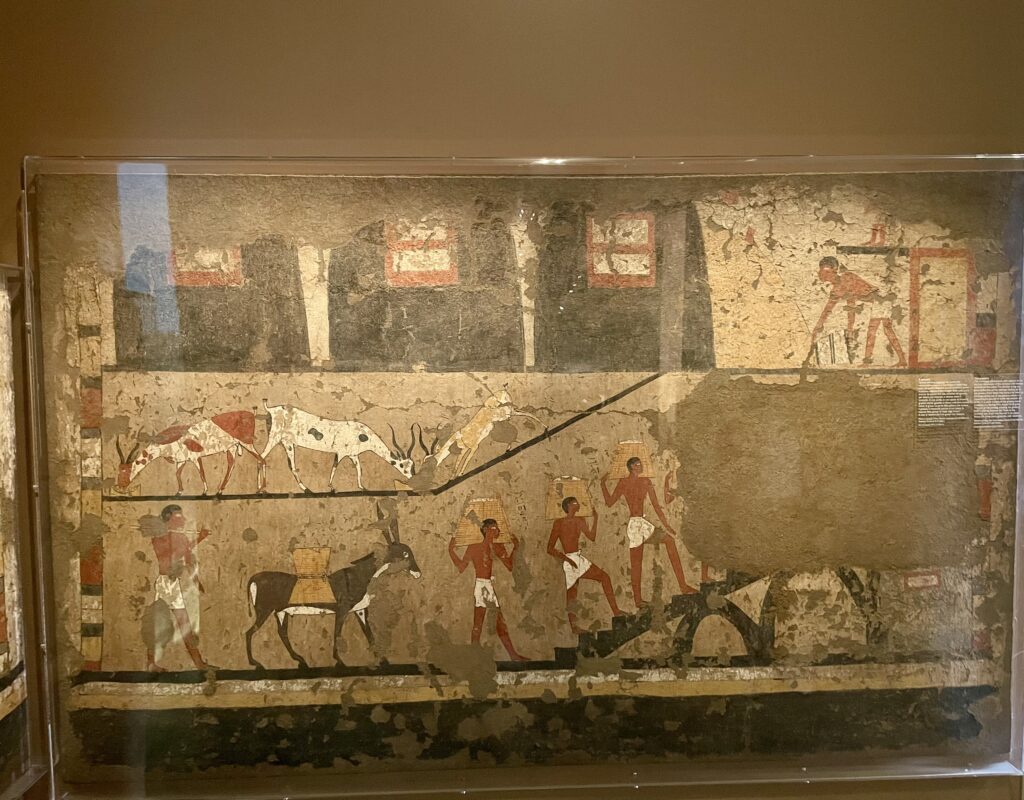 Egyptian Museum of Turin