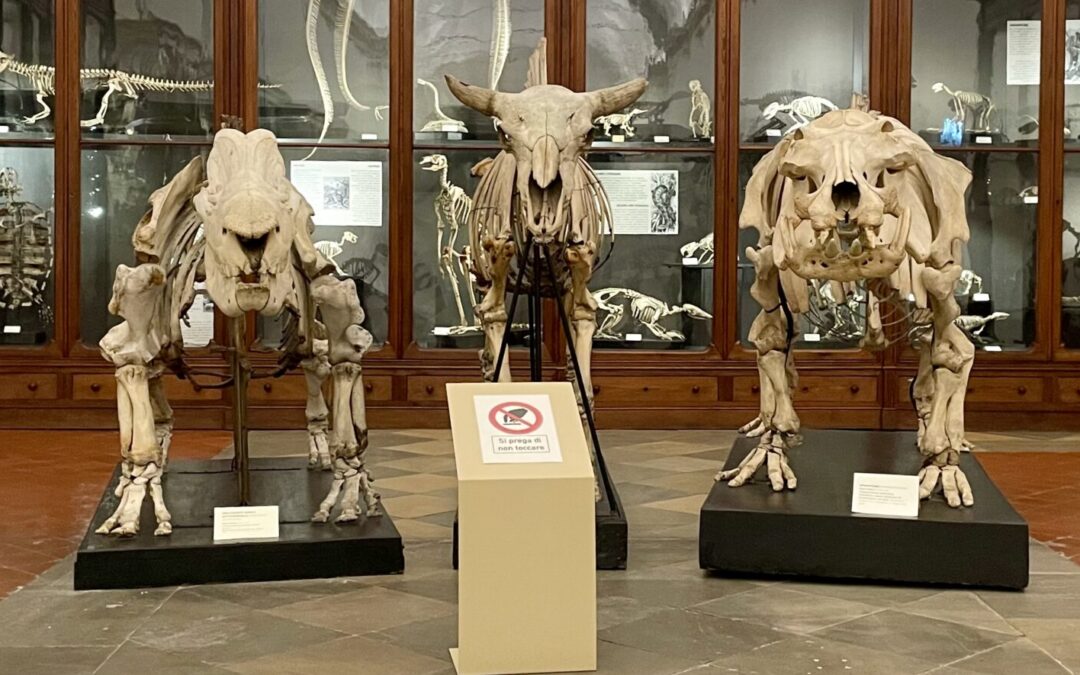 Science Museum