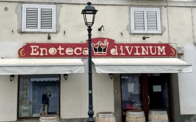 Enoteca Divinum – Reggia di Venaria
