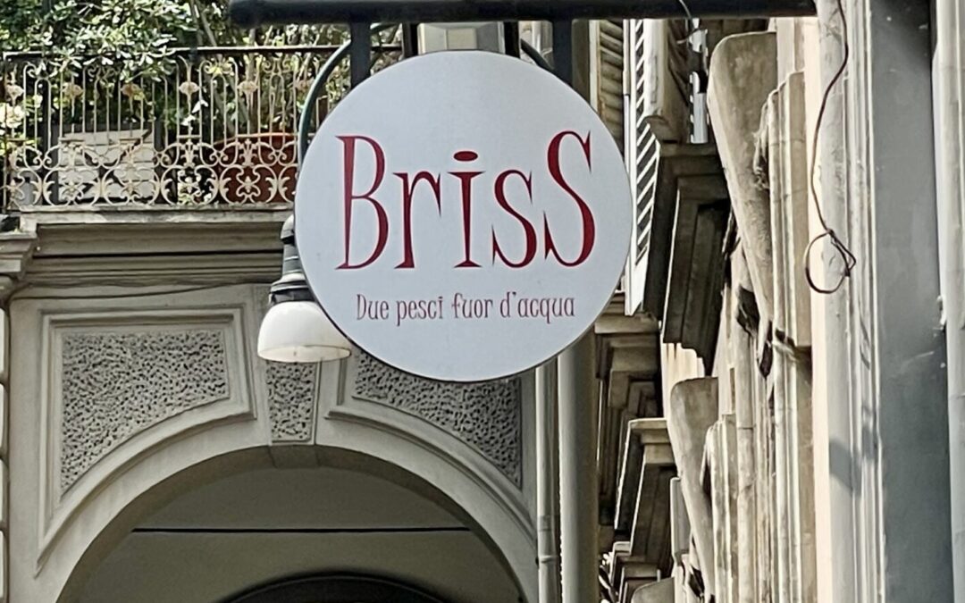 Briss due pesci fuor d’acqua