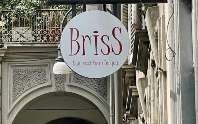 Briss due pesci fuor d’acqua