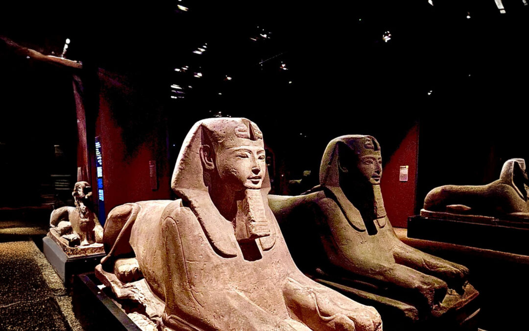 Egyptian Museum tours