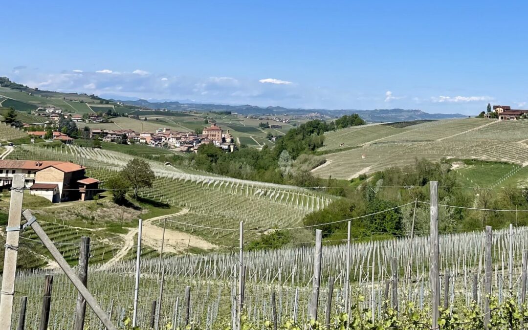 Villa Fontana Relais Suite & SPA