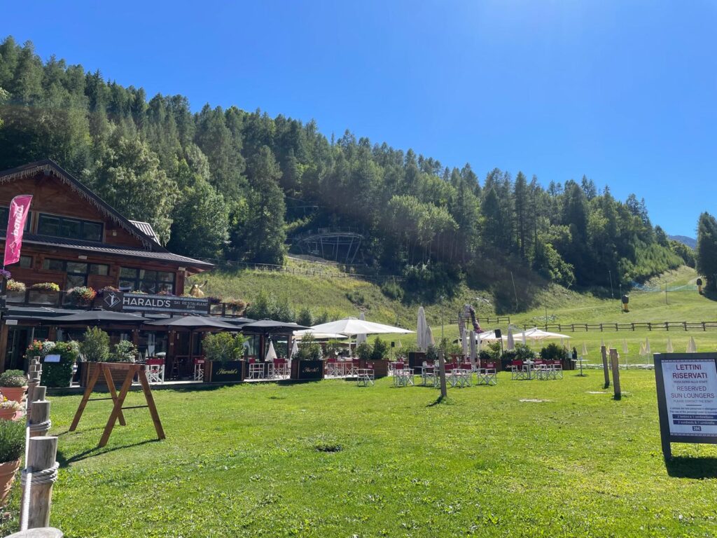 Harald's Bardonecchia