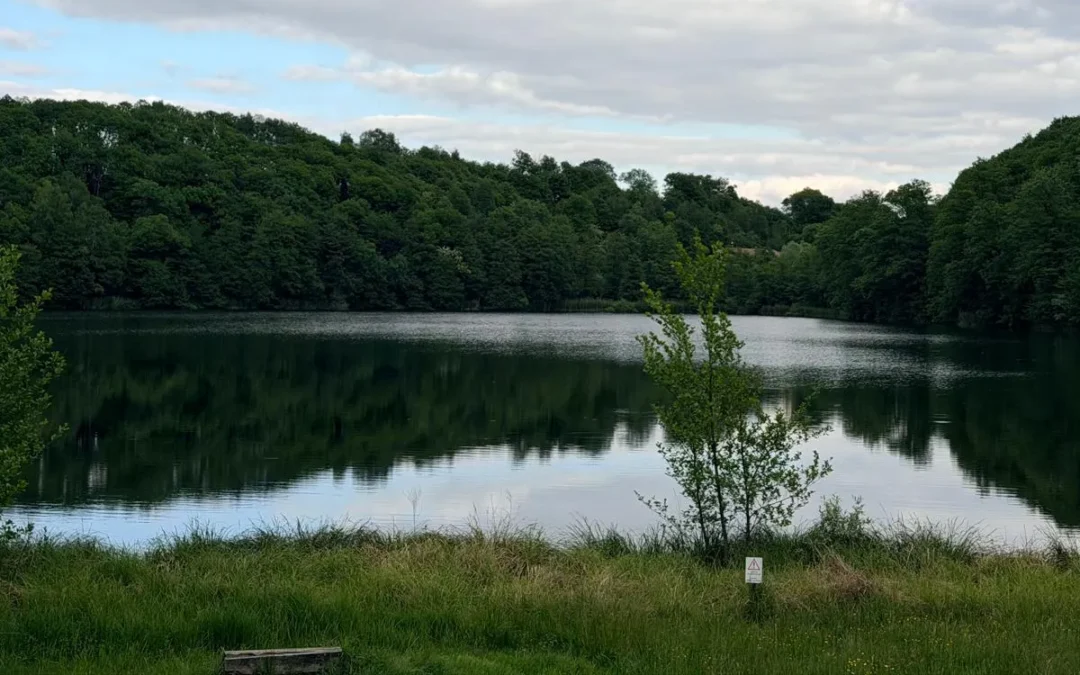 Alice lake