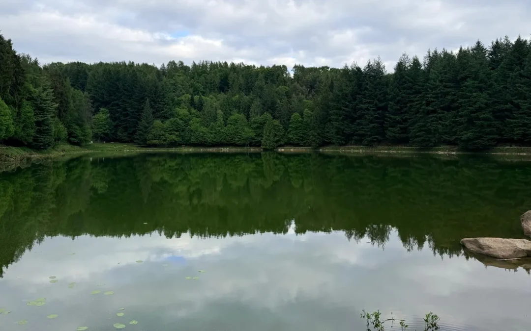 Meugliano lake