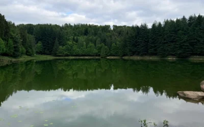 Meugliano lake