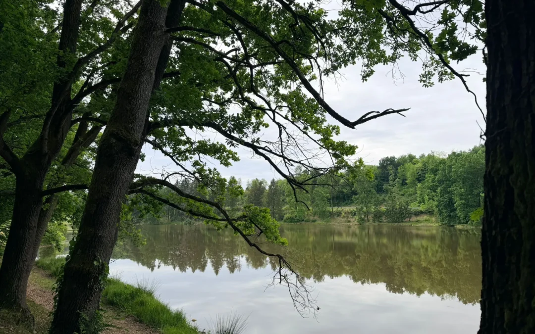 Maglione lake