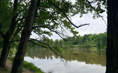 Maglione lake