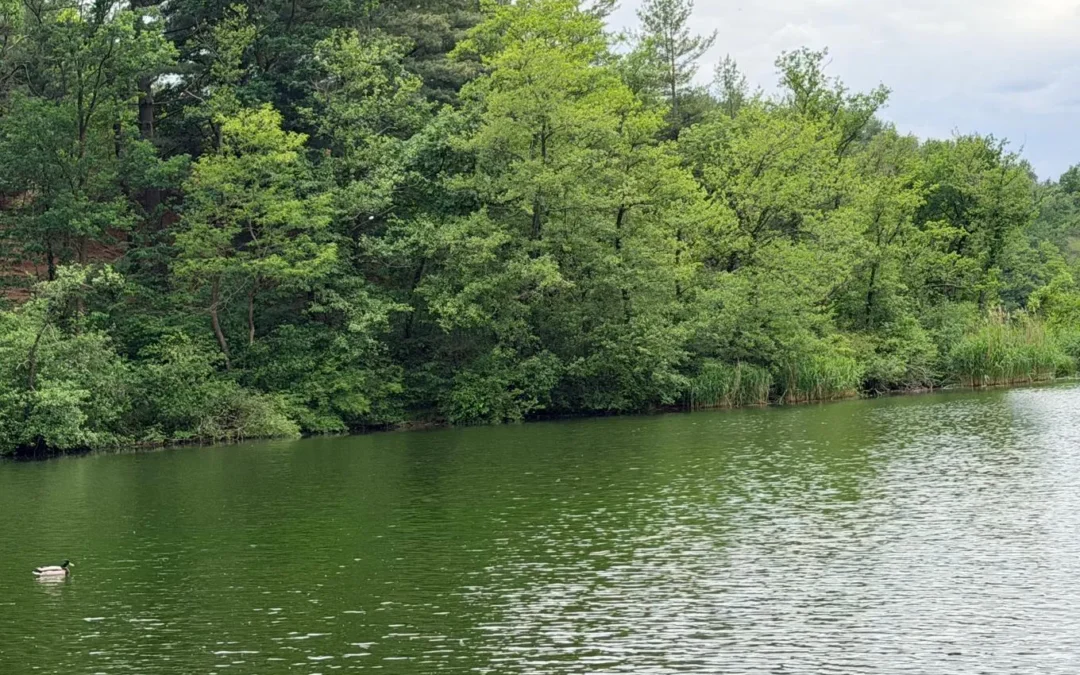 Campagna lake