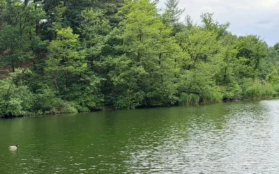 Campagna lake