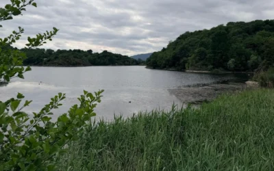 Pistono lake