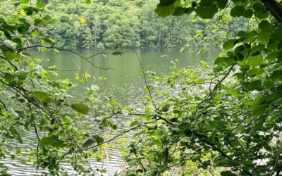 Nero lake