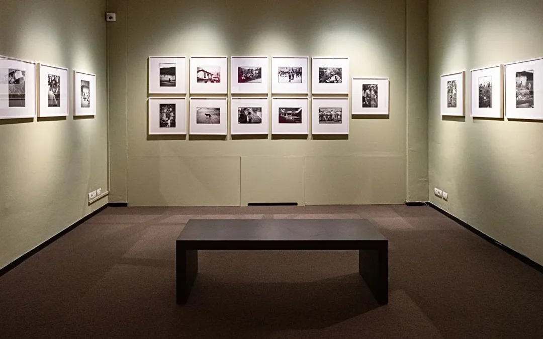 Exhibition Still Image Turin