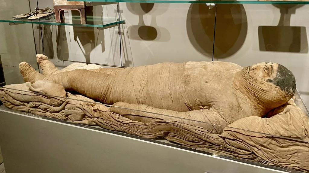 Egyptian Museum of Turin