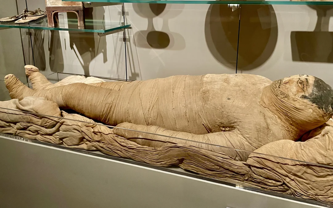 Discover Egyptian Museum of Turin
